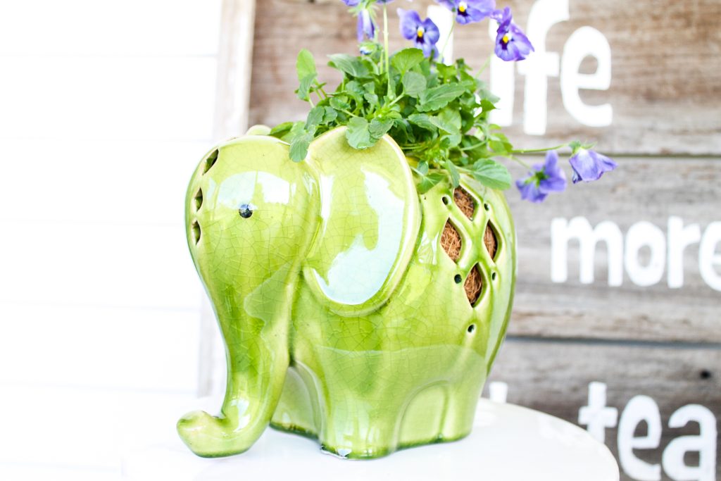 elephant latern made into a planter