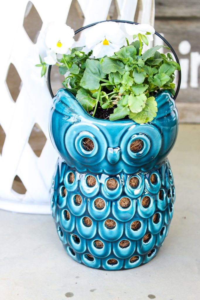 owl lantern turned into a planter
