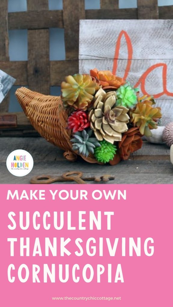 Succulent coruncopia for thanksgiving