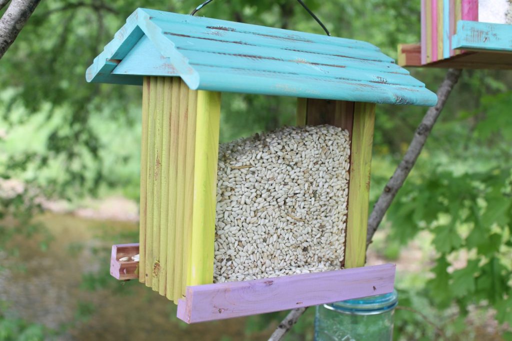 pretty bird feeder hanging
