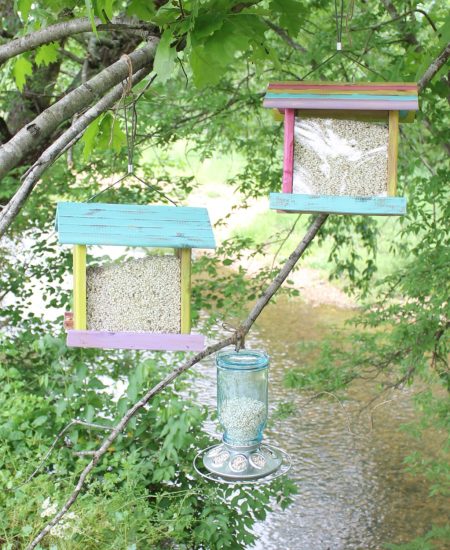 beachy bird feeders