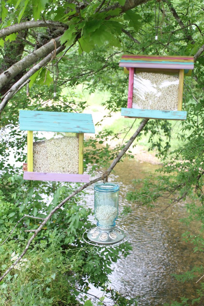 hanging bird feeders