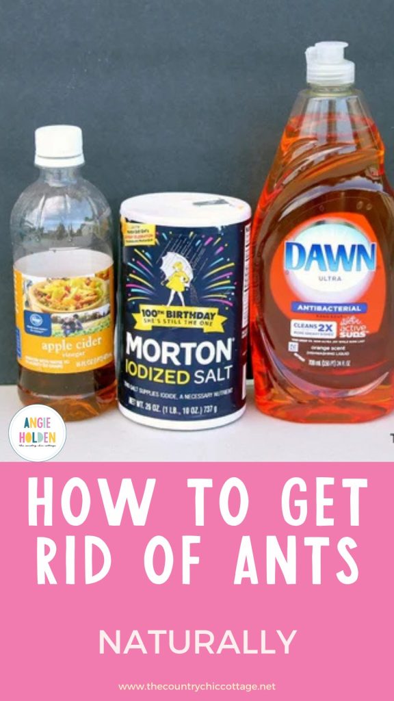 eliminate ants naturally