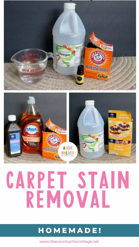 homemade carpet stain removal