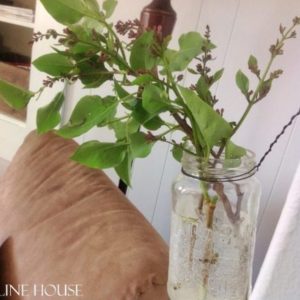 Hanging Mason Jar Vase by The Creek Line House