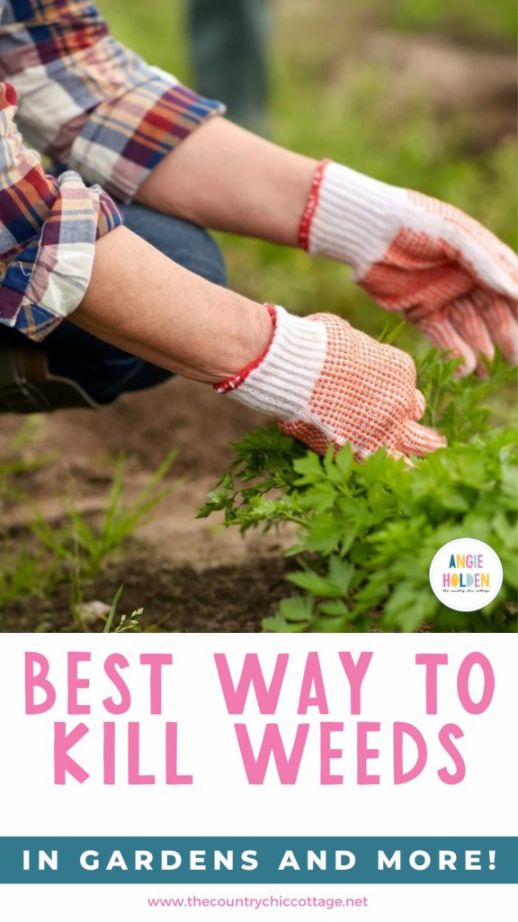 best way to kill weeds