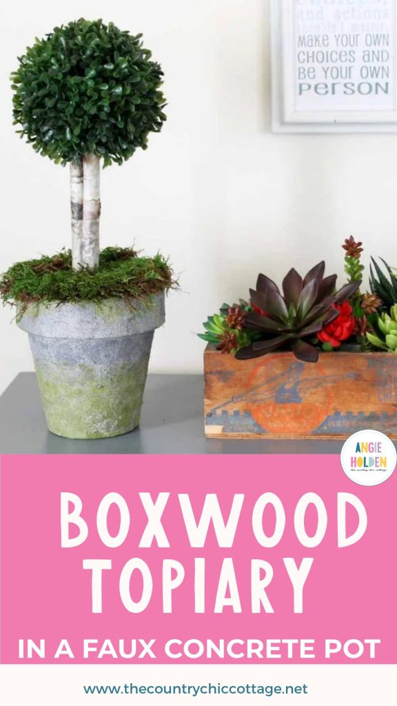 boxwood topiary