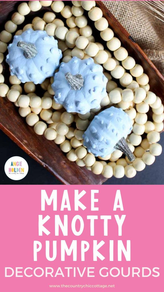 decorative gourds knotty pumpkin