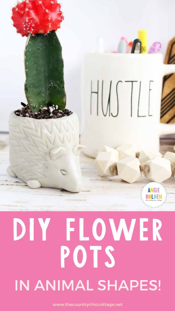 DIY flower pots