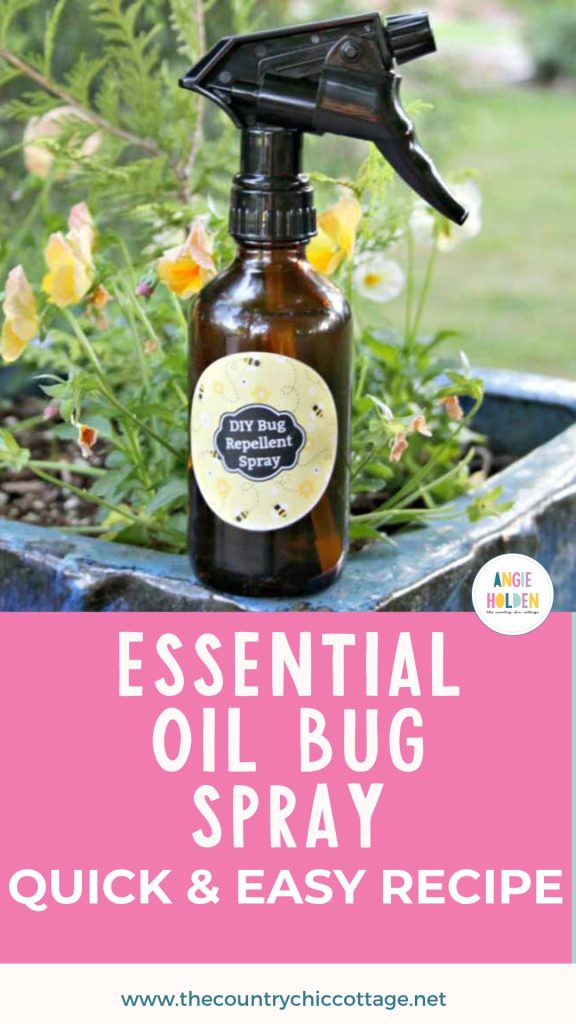 essential oil bug spray recipe