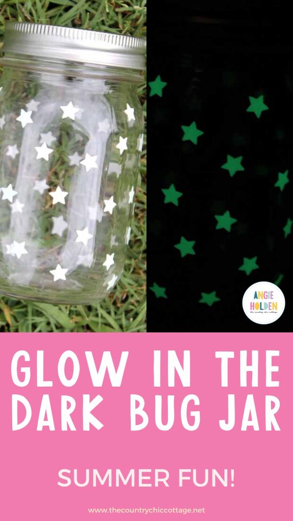 glow in the dark bug jar