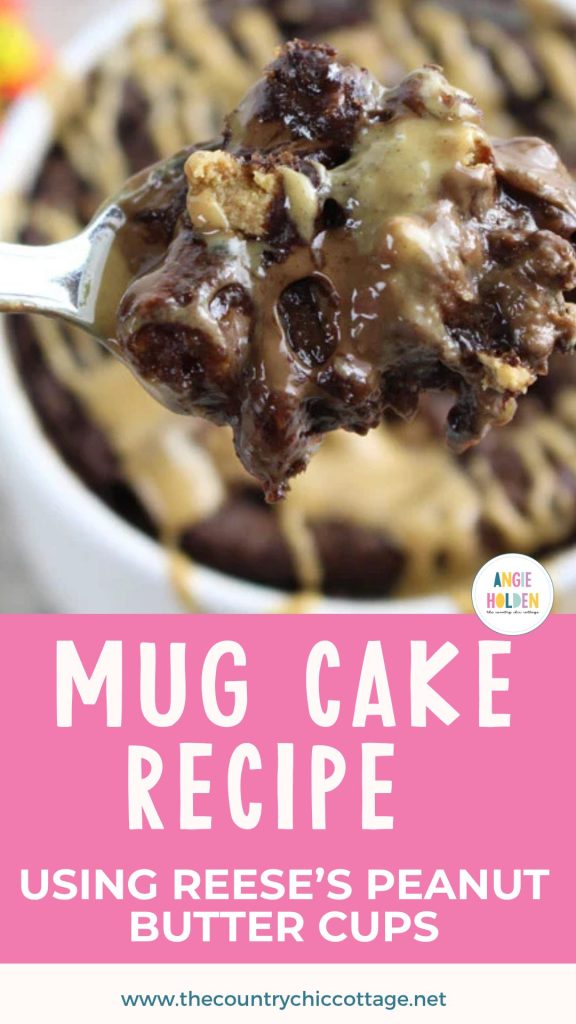 mug cake recipe chocolate peanut butter