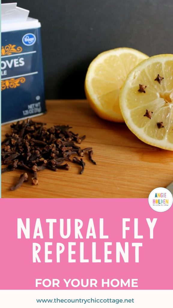 natural fly repellent