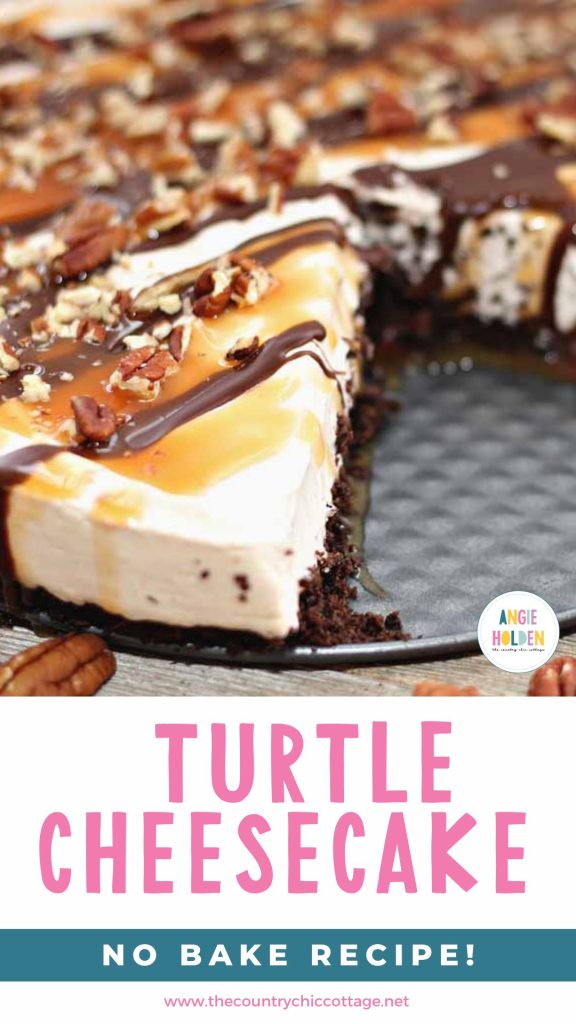 turtle cheesecake