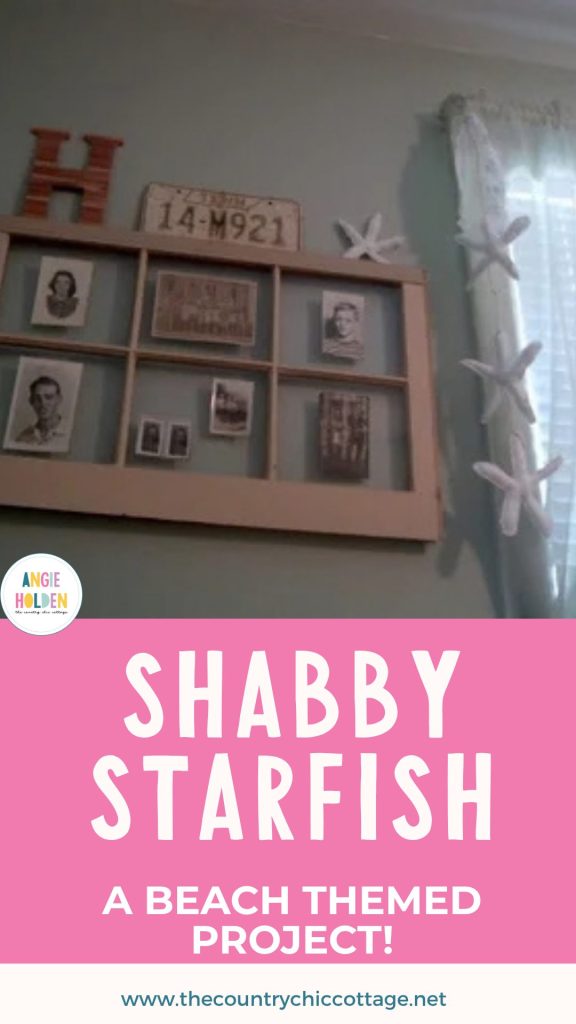 shabby starfish